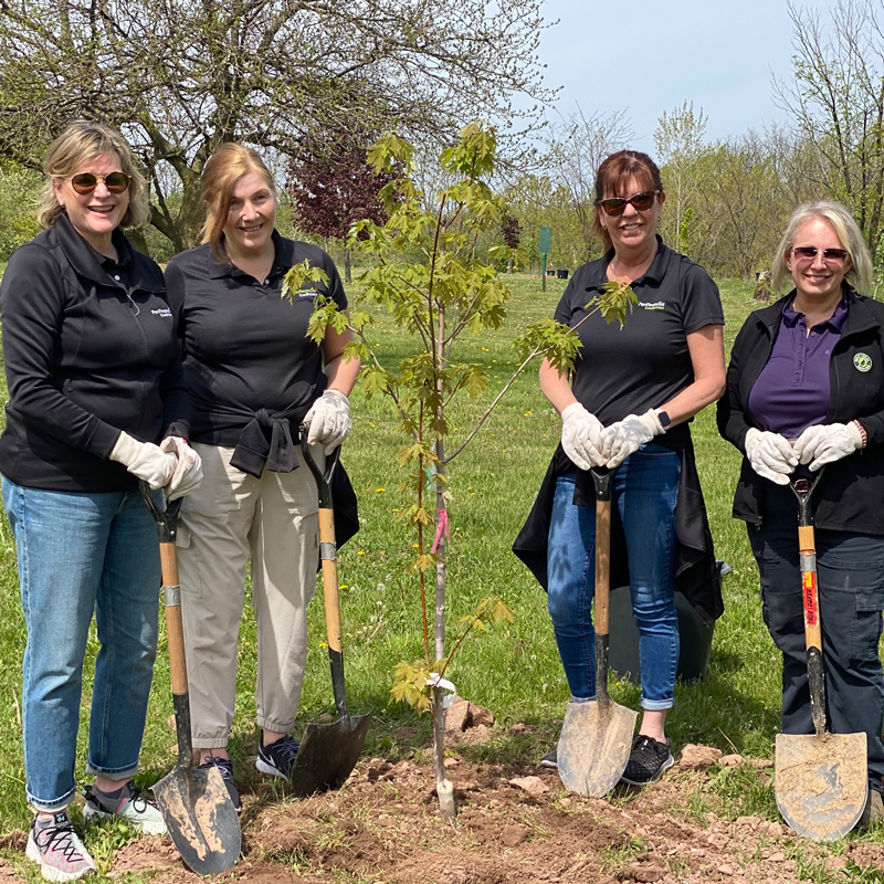 image column 4 widget_1686153530817